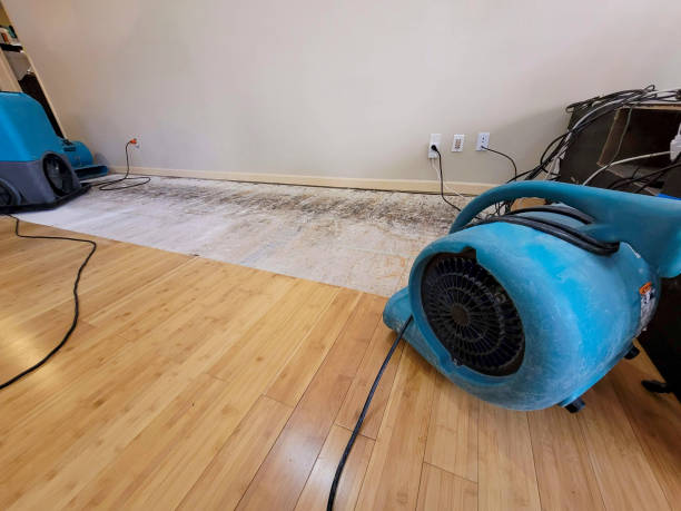 Professional Flood Damage Cleanup technician working in Fowlerton, TX